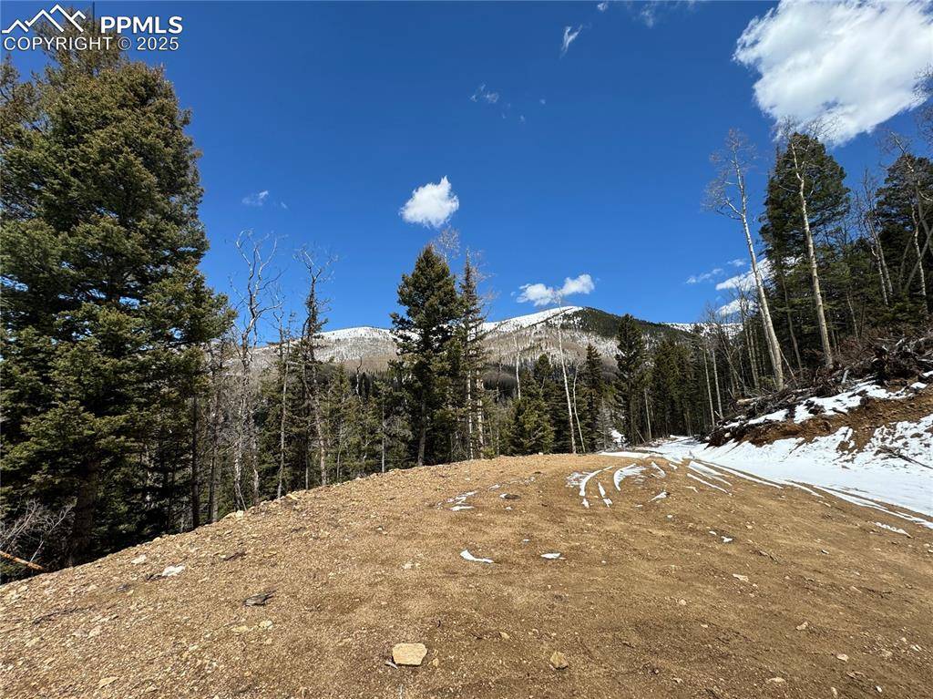 Fort Garland, CO 81133,6915 Alexandra RD