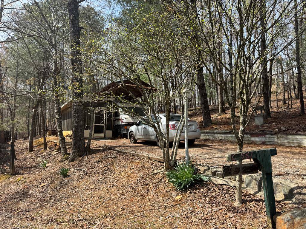Ellijay, GA 30540,319 25th Street