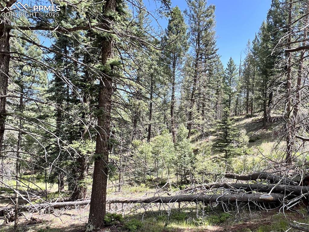 Cripple Creek, CO 80813,437 Sunset LN