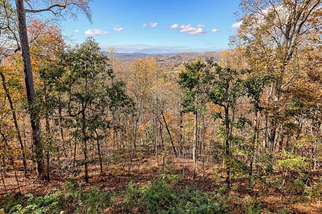 Young Harris, GA 30582,1279 Harris Ridge Road