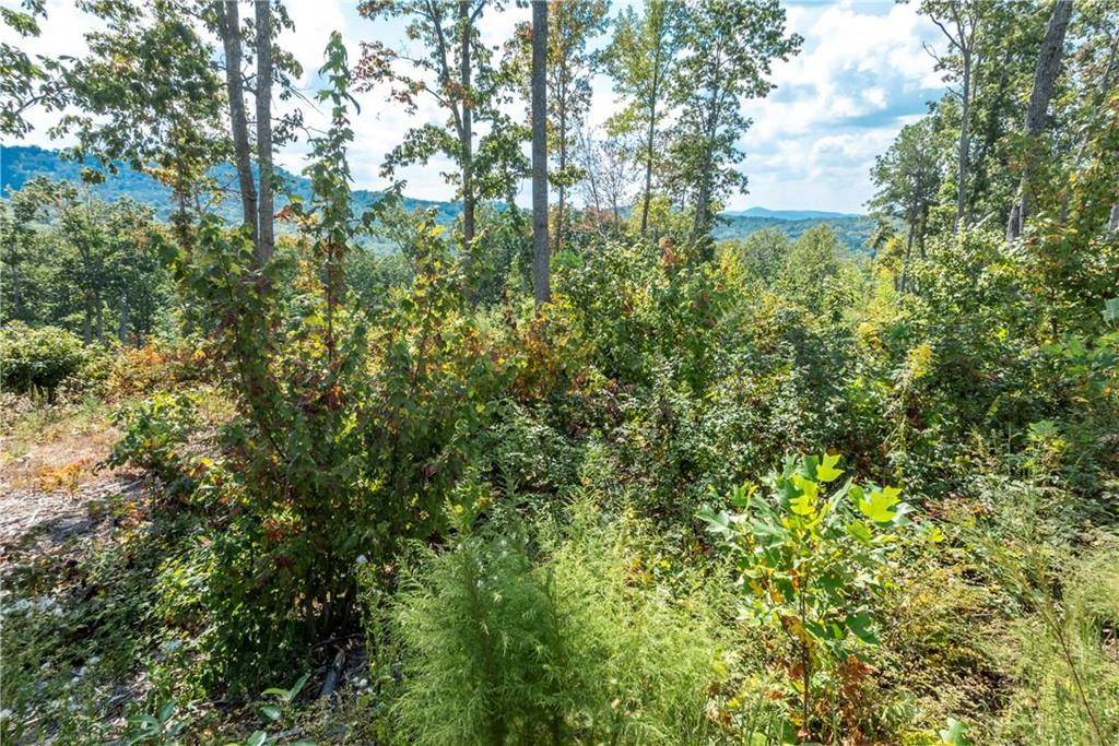 Talking Rock, GA 30175,0 Highgrove Drive