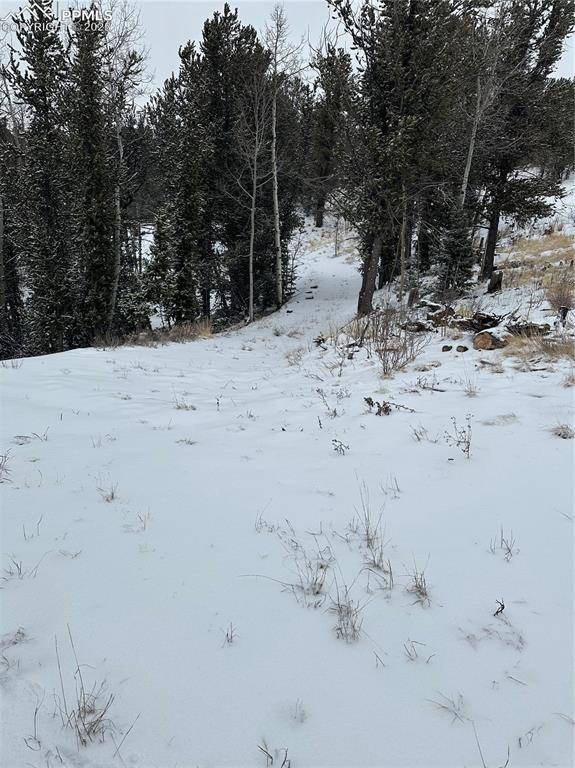 Cripple Creek, CO 80813,110 Brown Bear LN