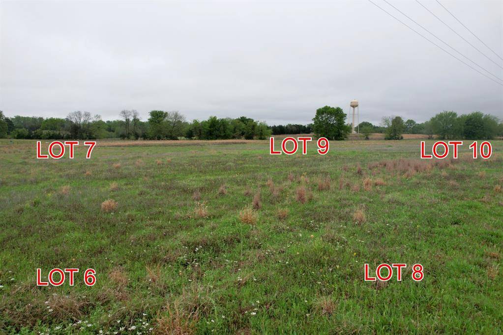 Winnsboro, TX 75494,Lot 7 County Road 4286