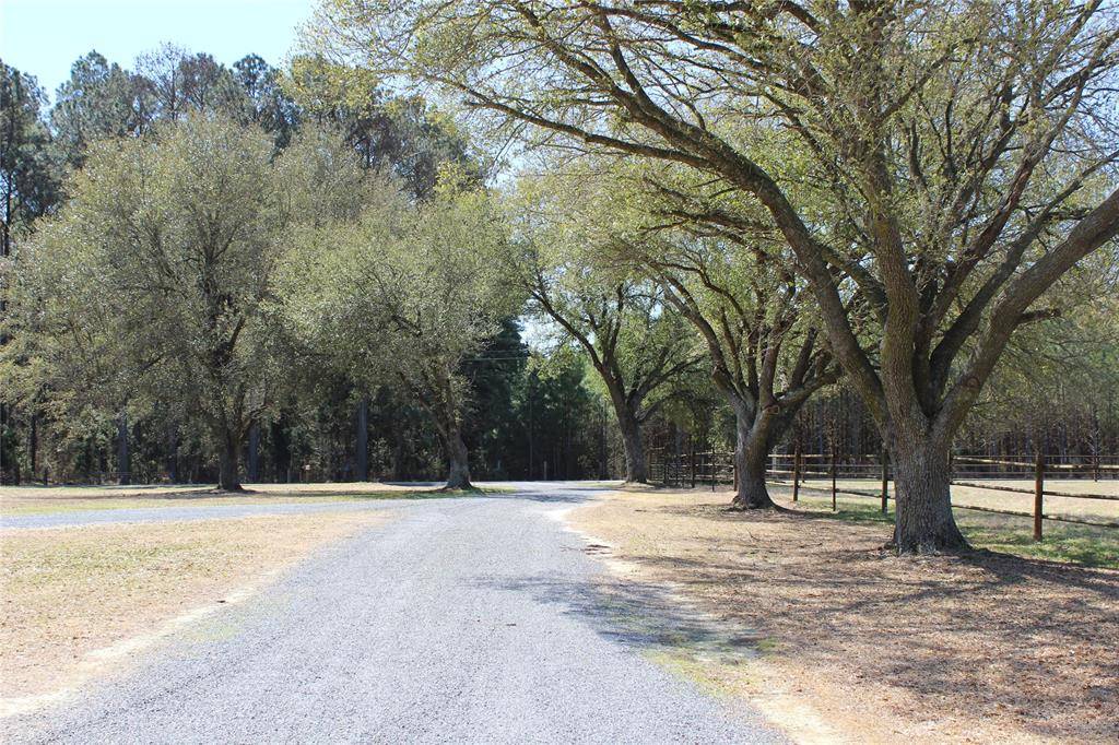 Minden, LA 71055,1226 Greene Road