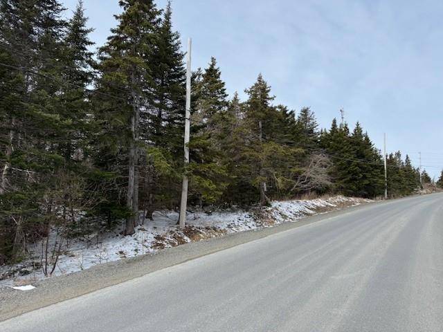 Carbonear, NL A1Y 1A2,0 Saddle Hill