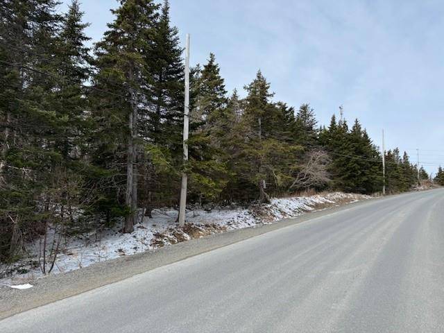 Carbonear, NL A1Y 1A2,0 Saddle Hill