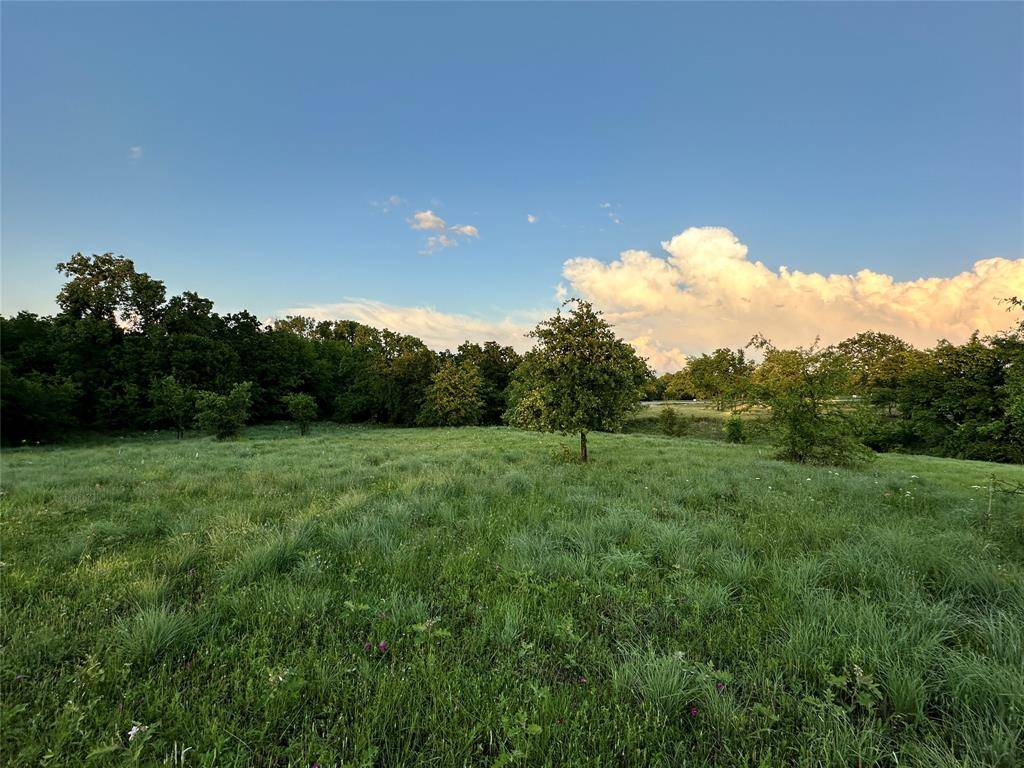 Springtown, TX 76082,9017 Valley Oak Court