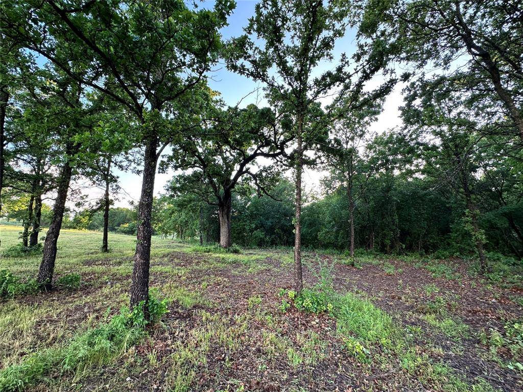 Springtown, TX 76082,9017 Valley Oak Court