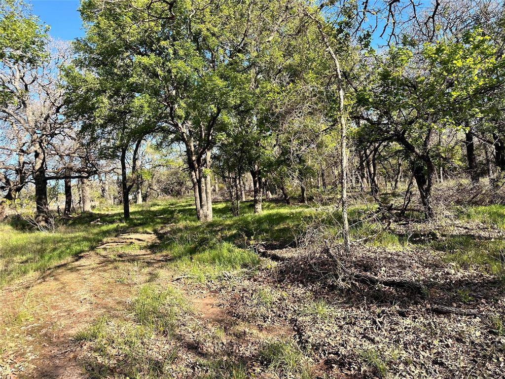Carlton, TX 76436,Lot 13 CR 127