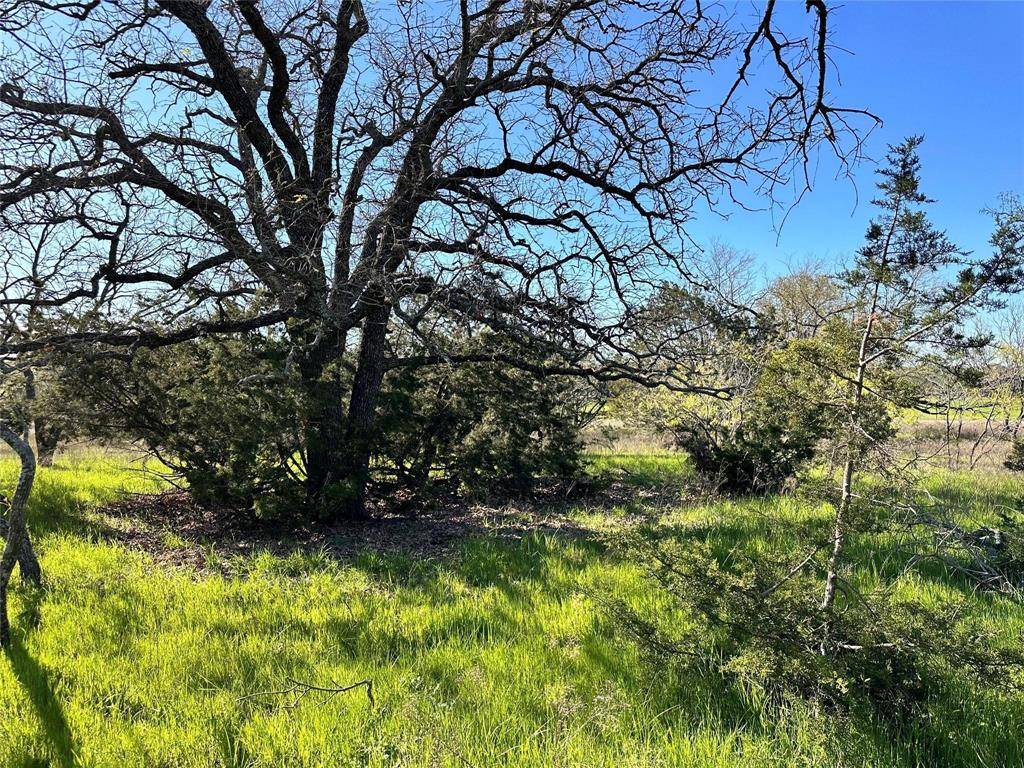 Carlton, TX 76436,Lot 13 CR 127