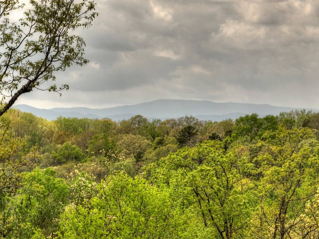 Mineral Bluff, GA 30559,25 Stuart Highland Drive