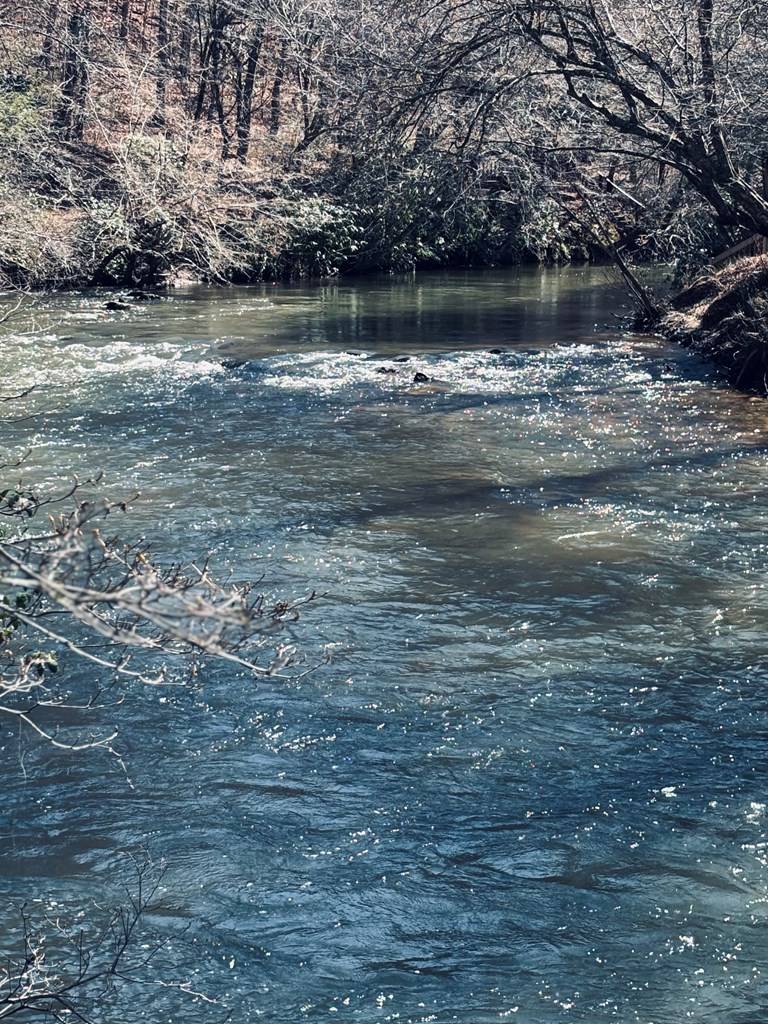 Blue Ridge, GA 30513,LT 69&70 Bice Lane