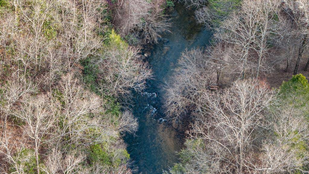 Blue Ridge, GA 30513,LT 67&68 Bice Lane