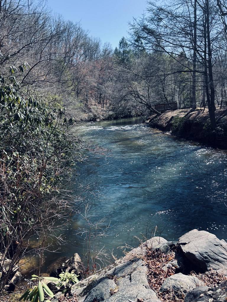 Blue Ridge, GA 30513,LT 67&68 Bice Lane