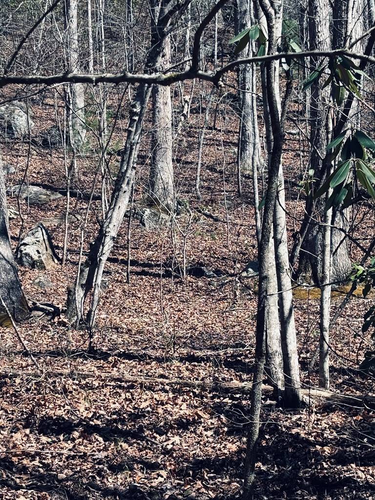 Blue Ridge, GA 30513,LT 67&68 Bice Lane