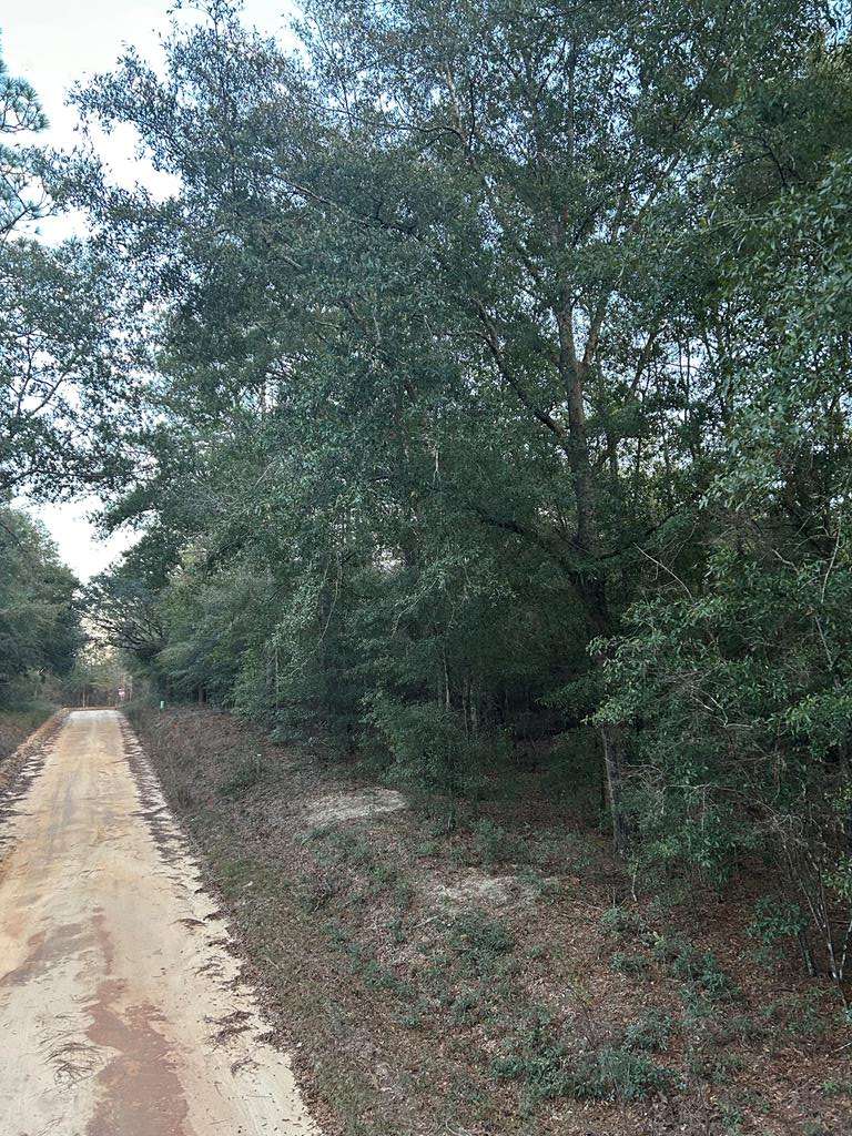 Donalsonville, GA 39845,00 Pine Logging Road