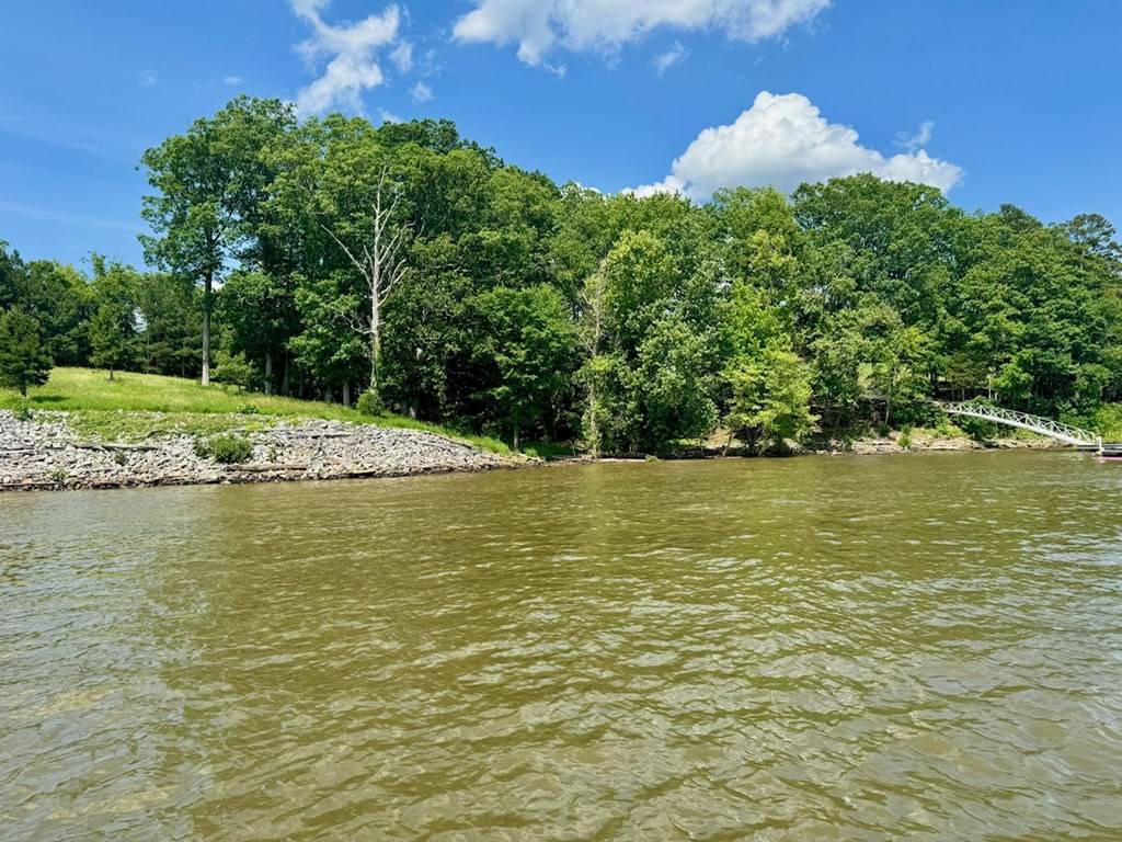 Clarksville, VA 23927,Lot 46 Woodlawn Drive