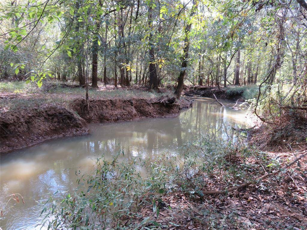 Nacogdoches, TX 75964,9795 Highway 59