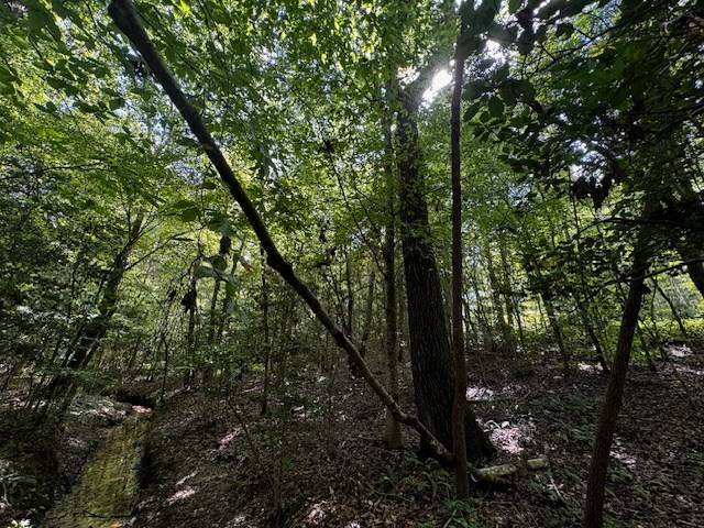 Lawrenceville, VA 23868,Western Mill Road