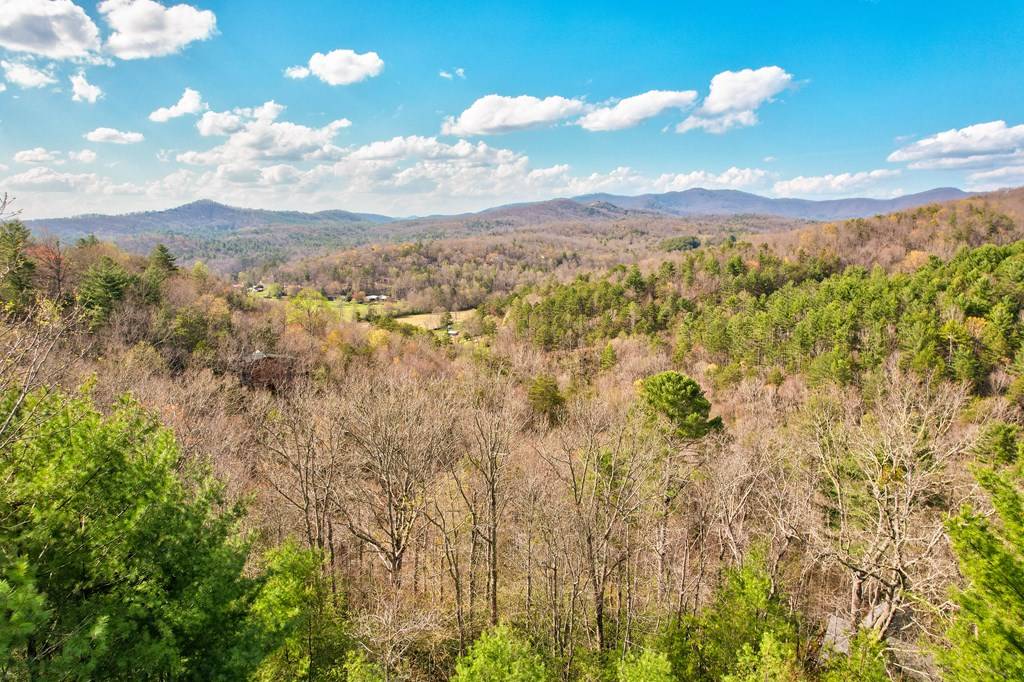 Mineral Bluff, GA 30559,425 Rhonda Lane