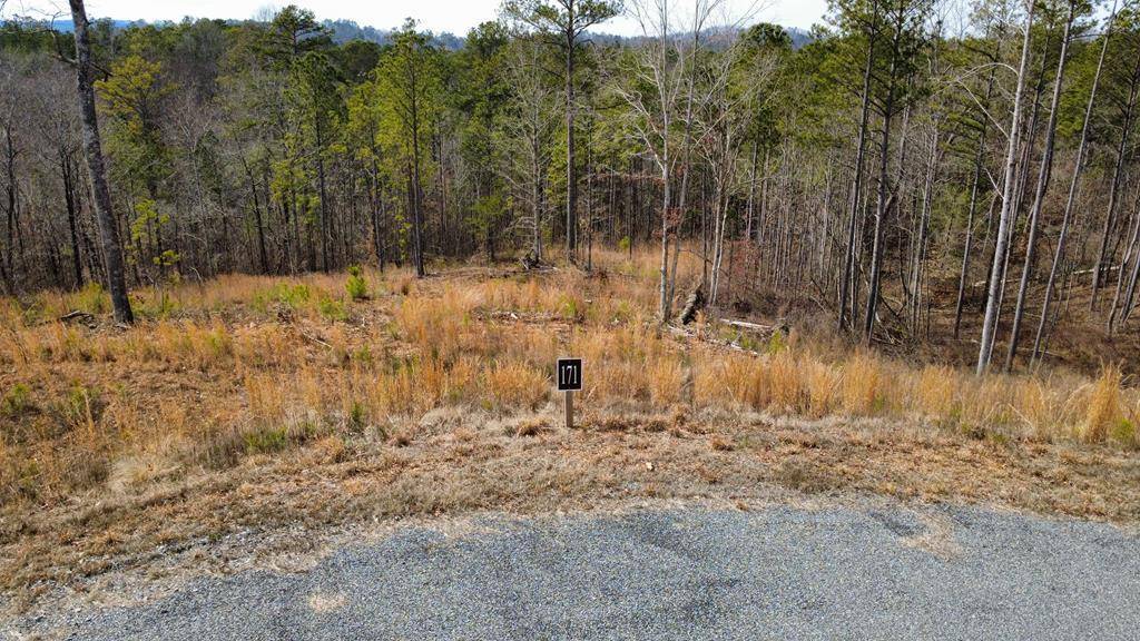 Talking Rock, GA 30175,Lot 171 Shallow Water Way