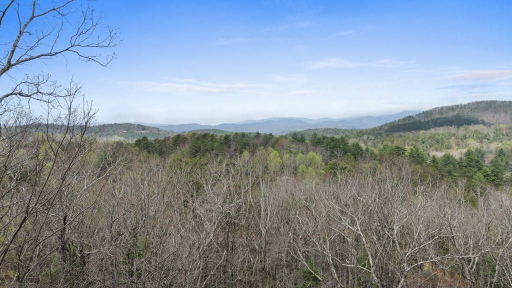 Ellijay, GA 30560,133 Pine Ridge Road