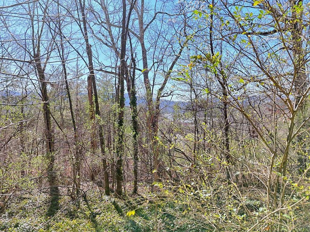 Hiawassee, GA 30546,631 McRidge Road