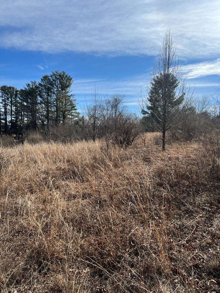 Galax, VA 24333,TBD Larkspur Lane