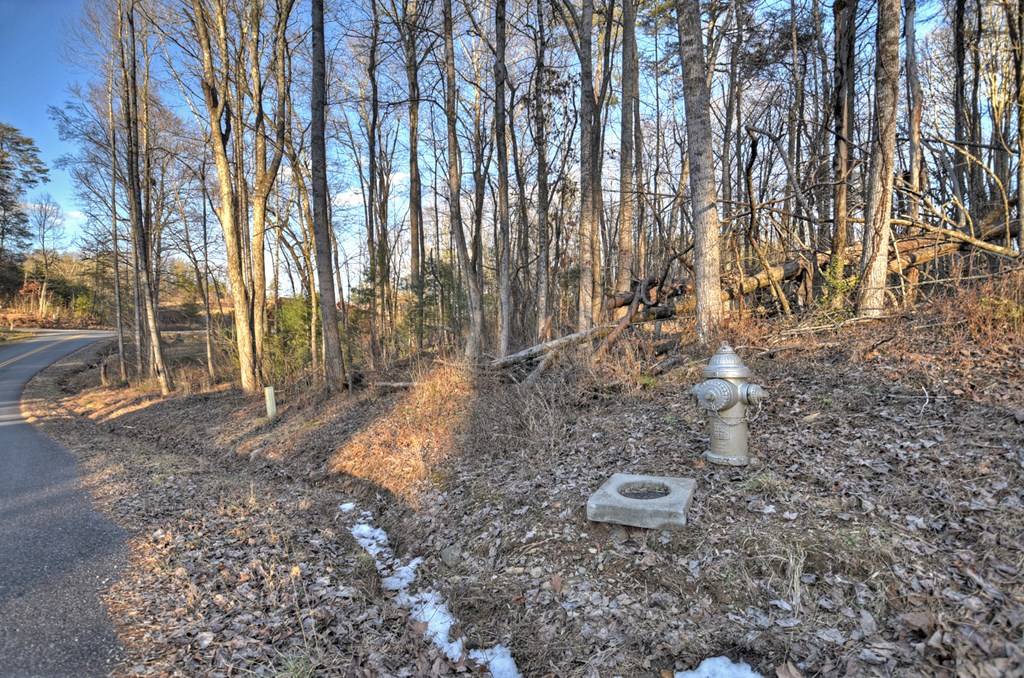 Morganton, GA 30560,LT 3 Hideaway Place