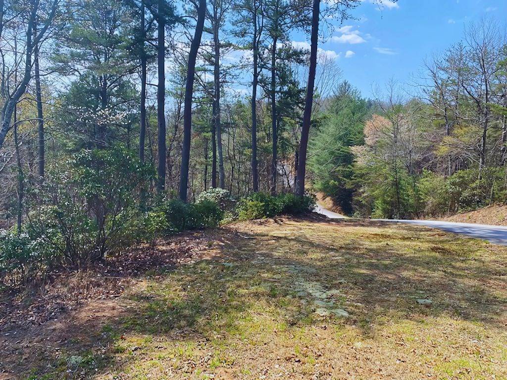 Brasstown, NC 28909,Lot 28 Wildflower Ridge