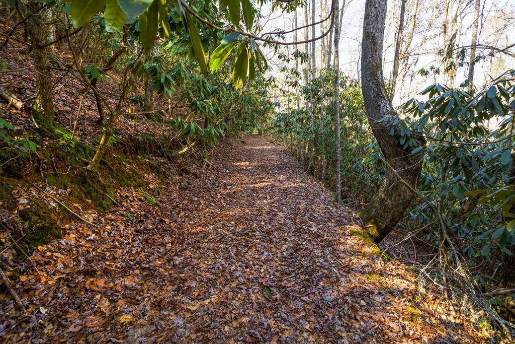 Brasstown, NC 28906,416 Tobe Stalcup Road