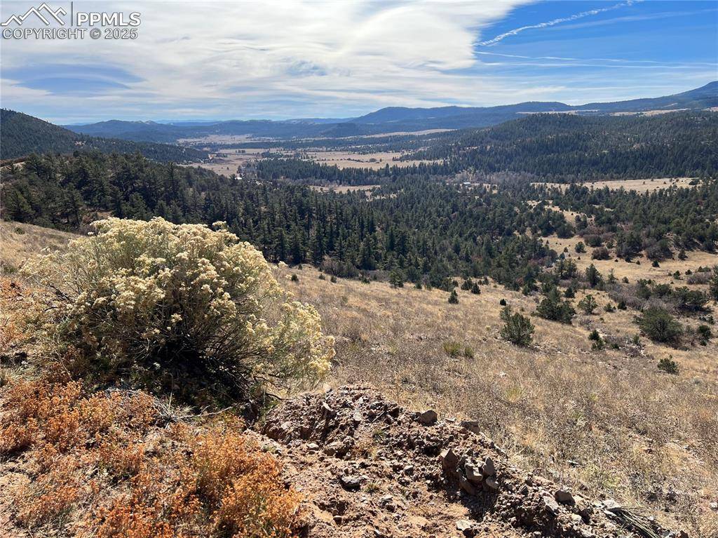 Canon City, CO 81212,L35 Autumn Creek DR