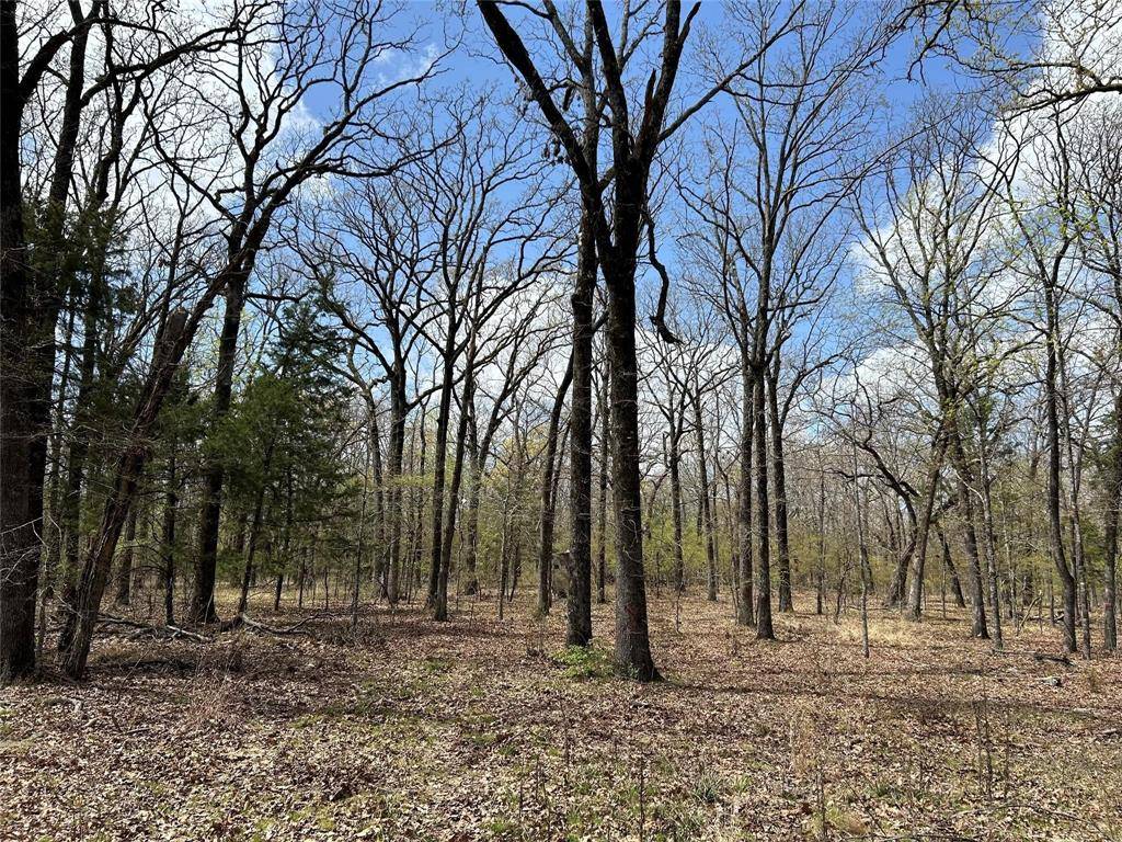 Bogata, TX 75417,000 FM 410 S