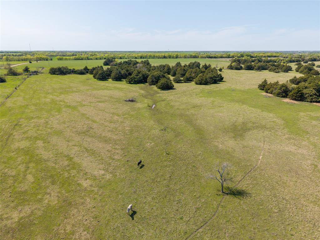 Celeste, TX 75423,25 ac County Road 1046