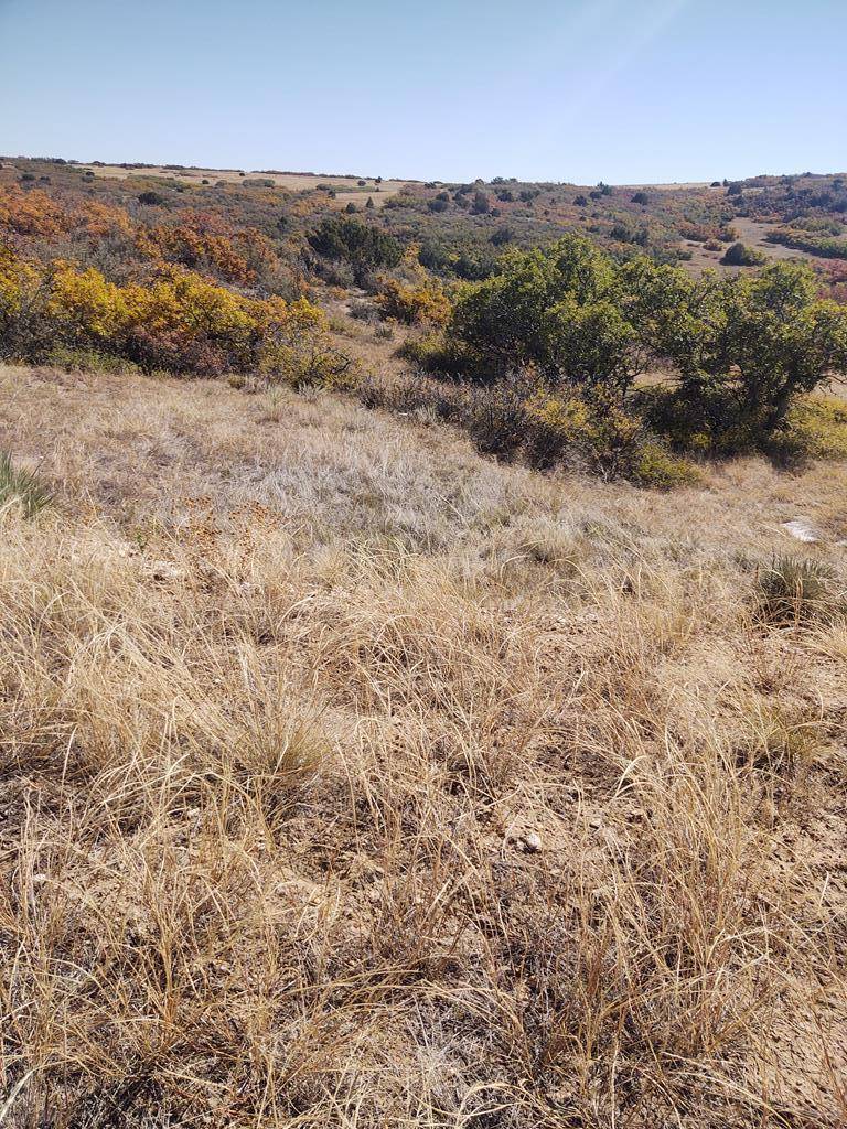 Colorado City, CO 81019,TBD Fort Scott