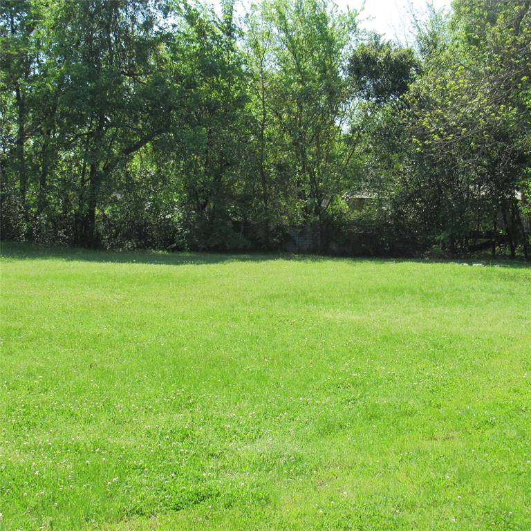 Mineola, TX 75773,619 Hogg Street