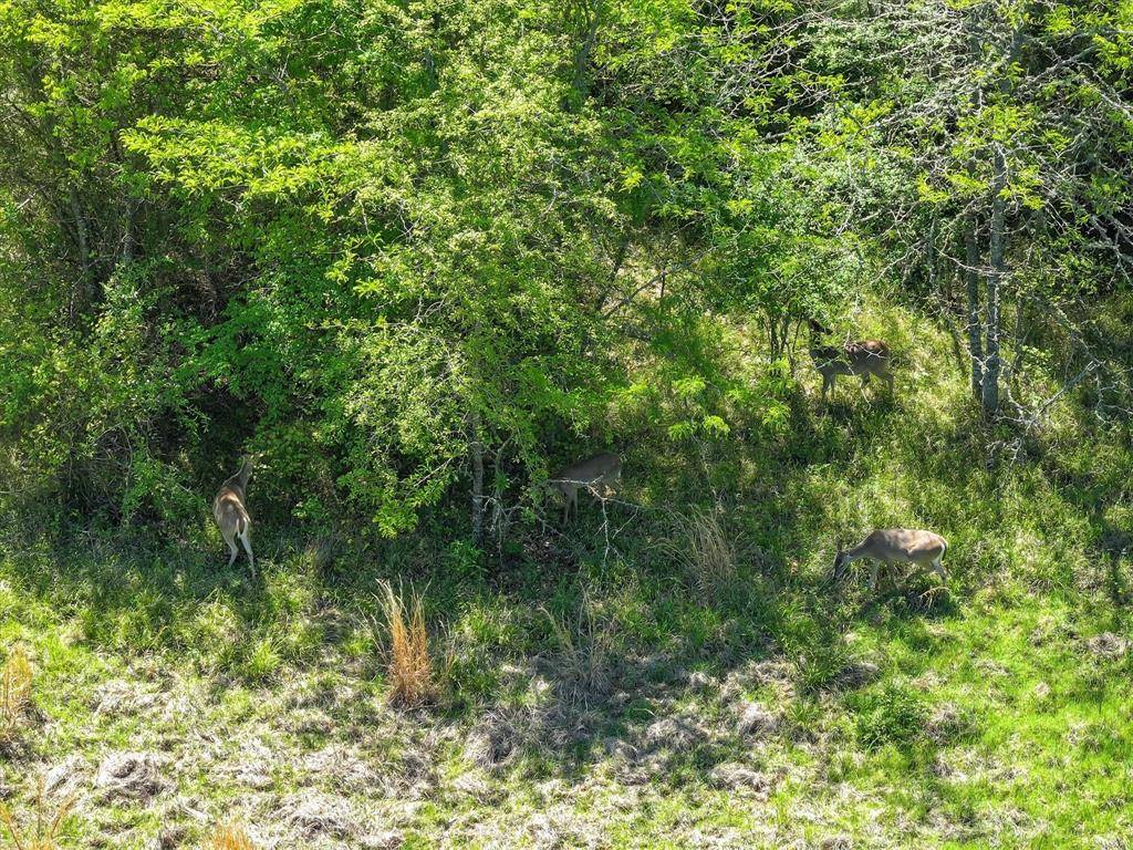 Edgewood, TX 75117,0000 VZ County Road 3710