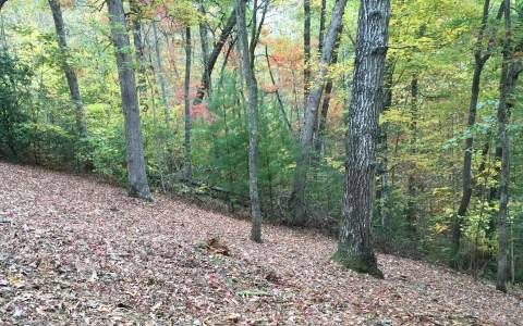 Hayesville, NC 28904,LOT12 Tusquittee Laurel Cove