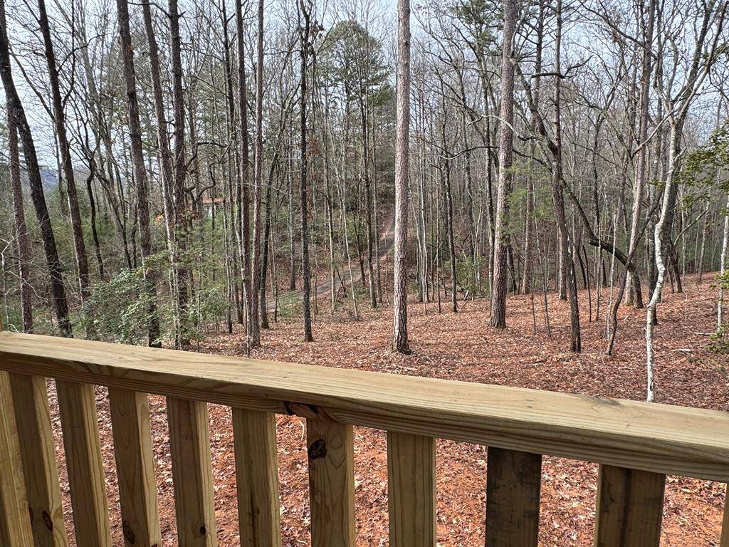 Murphy, NC 28906,52 Noelle's Pass