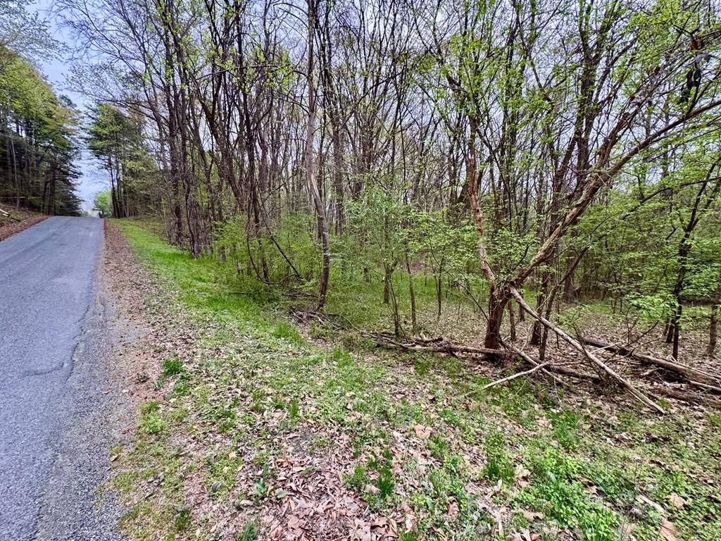 Clarksville, VA 23927,Lot14&15 Wellington Drive
