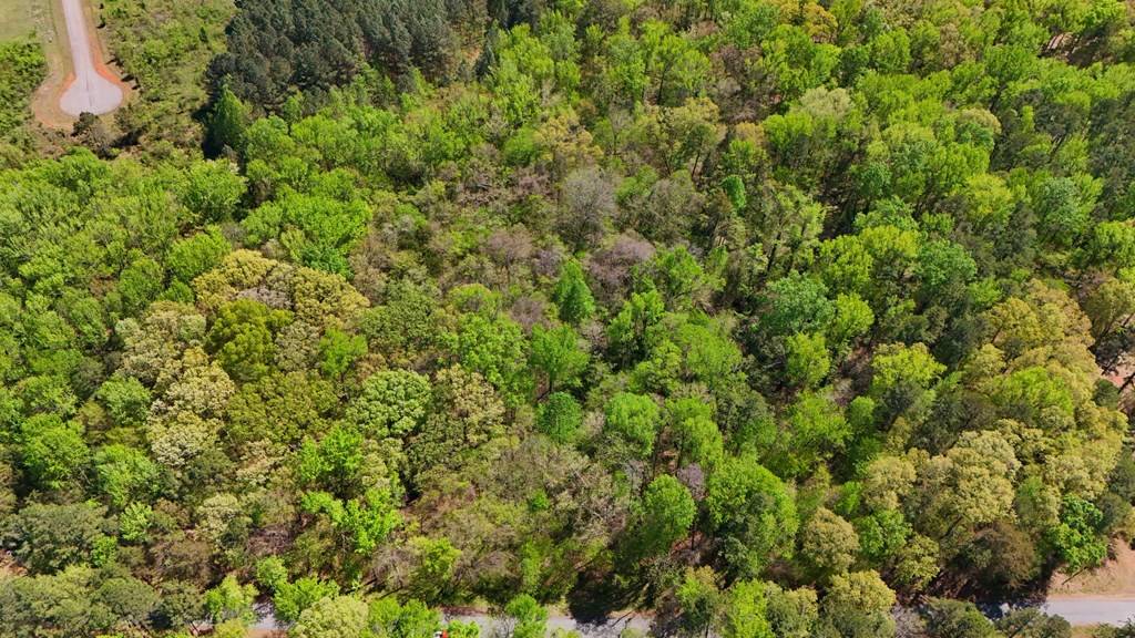 Clarksville, VA 23927,Lot6&7 Wellington Drive