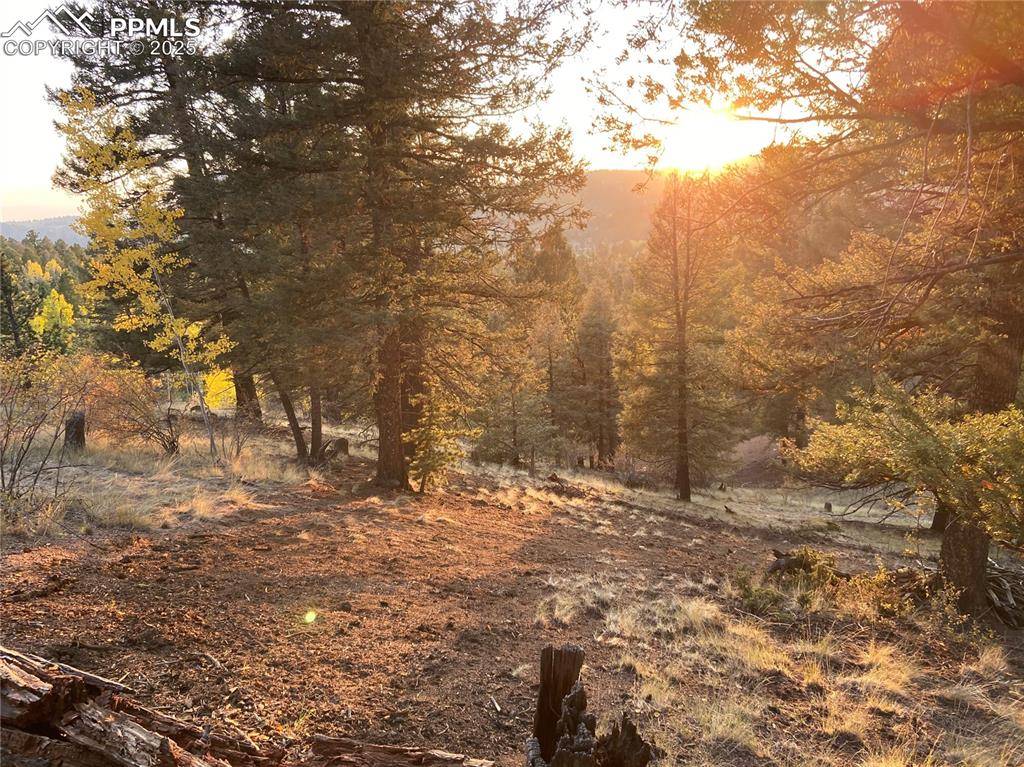 Cripple Creek, CO 80813,835 Bennett DR