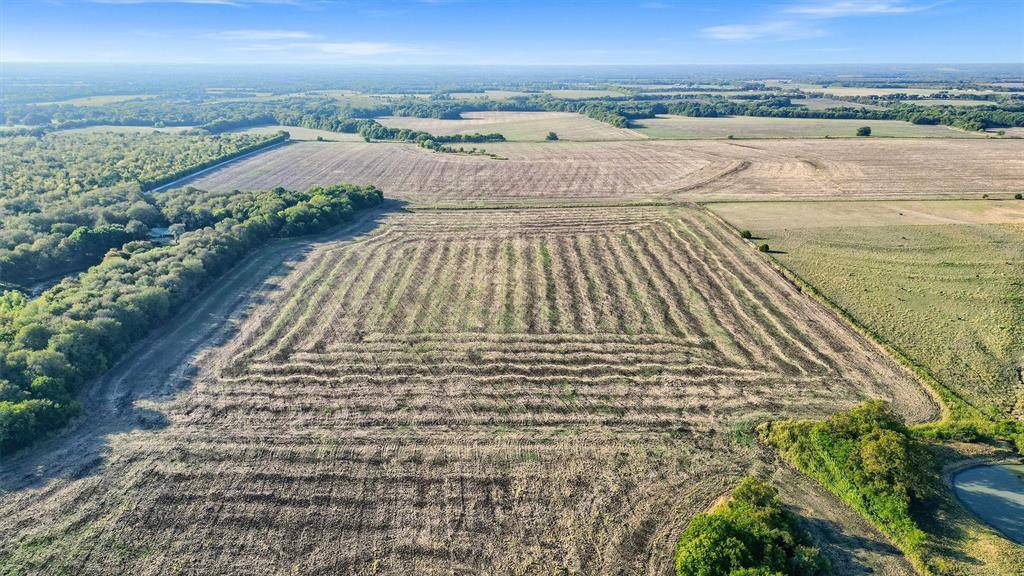 Bonham, TX 75418,TBD County Road 4142