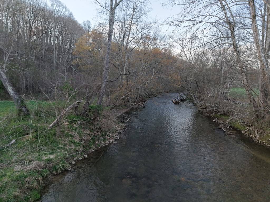 Ellijay, GA 30536,28.5 AC Ragweed Lane