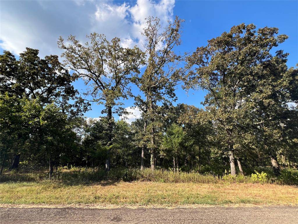 Sulphur Springs, TX 75482,TBD Nicklaus Drive