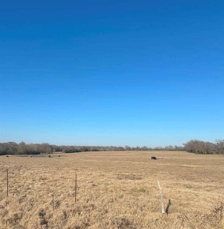 Marquez, TX 77865,TBD CR 386