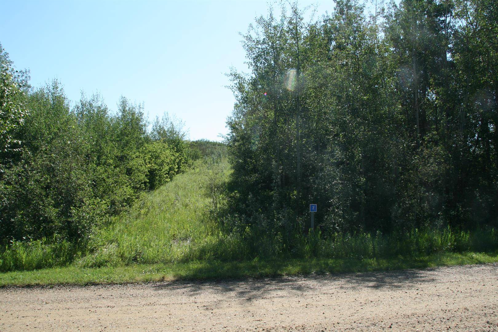 Rural Stettler No. 6 County Of, AB T0C 1G0,7 Buffalo DR