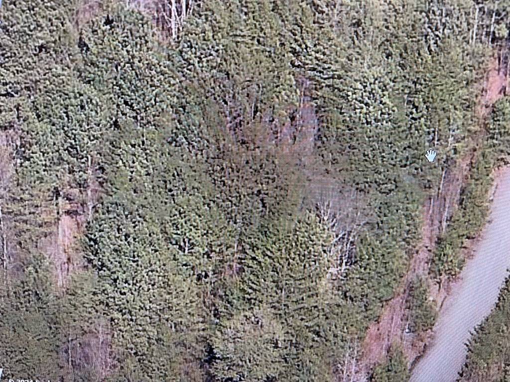 Braswell, GA 30153,53 Skyline Drive