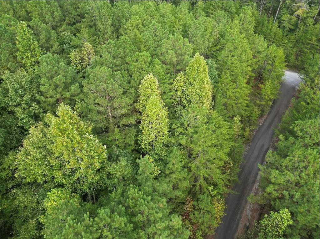 Braswell, GA 30153,21 Skyline Drive