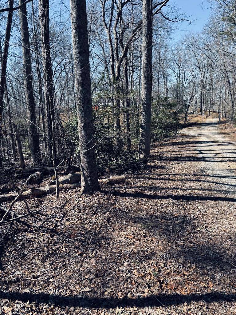 Blue Ridge, GA 30513,LT 73 Bice Lane
